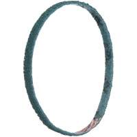 Courroies de traitement des surfaces Scotch-Brite D. Morneault & Fils