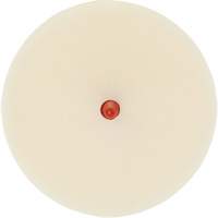 Scotch-Brite Moulding Adhesive & Stripe Removal Disc, 7501, 4" Dia. D. Morneault & Fils