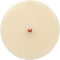 Scotch-Brite Moulding Adhesive and Stripe Removal Disc 7502, 6" Dia. D. Morneault & Fils