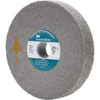 Meule d'&eacute;barbage EXL Scotch-Brite, 6" x 1", Arbre de 1" D. Morneault & Fils