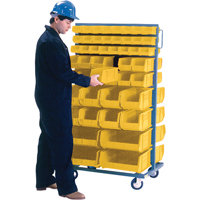 Double-Sided Mobile Bin Rack, Double-sided, 96 bins, 36" W x 24" D x 63" H D. Morneault & Fils