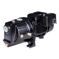 Dual Voltage Cast Iron Shallow Well Jet Pump, 230 V, 710 GPH, 1/2 HP D. Morneault & Fils