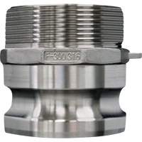 Cam & Groove Coupling, Stainless Steel, Type F, 2-1/2", Male NPT, 150 PSI D. Morneault & Fils