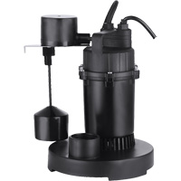 Thermoplastic Submersible Sump Pump, 2560 GPH, 115 V, 4.6 A, 1/3 HP D. Morneault & Fils