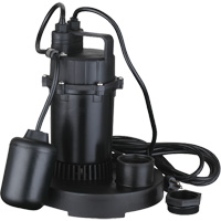 Thermoplastic Submersible Sump Pump, 2560 GPH, 115 V, 4.6 A, 1/3 HP D. Morneault & Fils