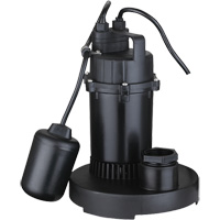 Thermoplastic Submersible Sump Pump, 2560 GPH, 115 V, 4.6 A, 1/3 HP D. Morneault & Fils
