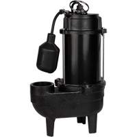 Cast Iron Sewage Pump, 120 V, 9.5 A, 6000 GPH, 1/2 HP D. Morneault & Fils