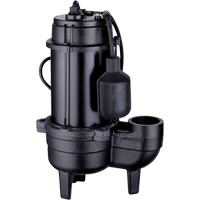 Cast Iron Sewage Pump, 120 V, 9.5 A, 6000 GPH, 1/2 HP D. Morneault & Fils