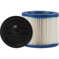 Petit filtre pour aspirateur pour d&eacute;bris secs/humides CleanStream Gore, Cartouche/Hepa, Pour 1 - 6 gal. US D. Morneault & Fils