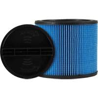 Ultra-Web&reg; Vacuum Filter, Cartridge, Fits 5 US gal. D. Morneault & Fils