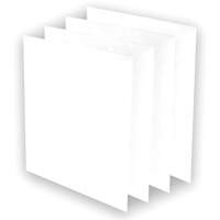 Pr&eacute;-filtres AeraMax Pro AM3 ou AM4, 13,75" la x 0,13" p x 14,38" h D. Morneault & Fils