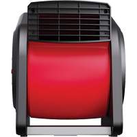 Souffleur d'air D. Morneault & Fils