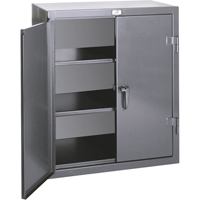 Armoires de rangement hauteur comptoir, Acier, 2 Tablettes, 36" h x 24" la x 20" P, Gris D. Morneault & Fils