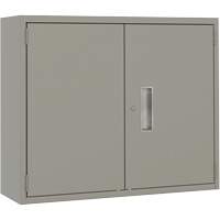 Armoire murale, Acier, 2 Tablettes, 30" h x 36" la x 12" P, Gris D. Morneault & Fils