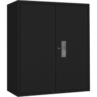 Armoire de rangement Lo-Boy, Acier, 2 Tablettes, 42" h x 36" la x 18" P, Noir D. Morneault & Fils