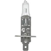 64155 Ampoule automobile de base, Halog&egrave;ne, 78 W, Blanc cass&eacute; D. Morneault & Fils