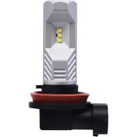 Ampoule pour feu avant H8, DEL, 12,8 W/9 W, Blanc D. Morneault & Fils