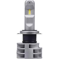 Ampoule pour feu avant H7, DEL, 13,2 W/17 W, Blanc D. Morneault & Fils