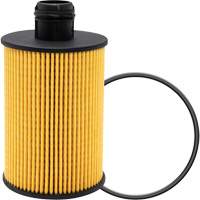 P40147 Lube Oil Filter Element D. Morneault & Fils