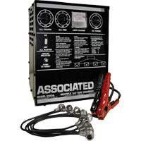 Multi-Battery Series Charger D. Morneault & Fils