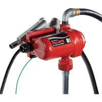 12V DC Fuel Transfer Pump with Nozzle D. Morneault & Fils