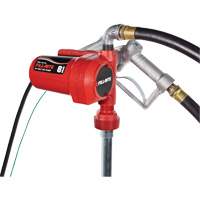 12V DC Fuel Transfer Pump with Nozzle D. Morneault & Fils