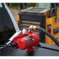 12V DC Fuel Transfer Pump with Nozzle D. Morneault & Fils