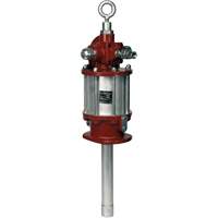 Industrial Oil Pump D. Morneault & Fils
