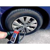Pro Series Compact Digital Tire Inflator D. Morneault & Fils