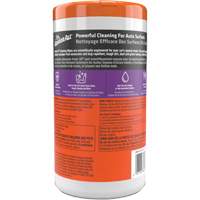Cleaning Wipes D. Morneault & Fils
