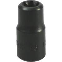 E-8 Torx&reg; Socket D. Morneault & Fils