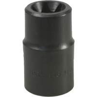 E-18 Torx&reg; Socket D. Morneault & Fils