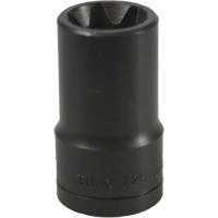 E-20 Torx&reg; Socket D. Morneault & Fils