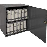 Armoire de rangement pour contenants a&eacute;rosol, Acier, 21-7/8" h x 15-15/16" la x 20-5/16" P, Gris D. Morneault & Fils