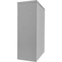 Armoire de rangement &agrave; hauteur de comptoir, Acier, 2 Tablettes, 42" h x 30" la x 15" P, Gris D. Morneault & Fils