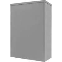 Armoire de rangement &agrave; hauteur de comptoir, Acier, 2 Tablettes, 42" h x 30" la x 15" P, Gris D. Morneault & Fils