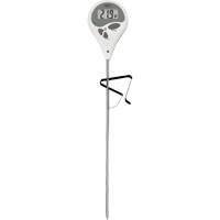 Thermometer