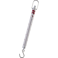 Medio Spring Scale D. Morneault & Fils