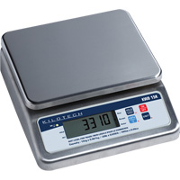 Bench Weighing Scale, 30 kg Cap., 2 g Graduations D. Morneault & Fils