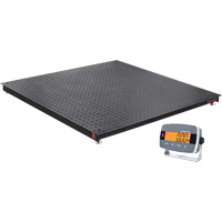 Defender 3000 Floor Scale, 5000 lbs. Capacity, 4' L x 4' W D. Morneault & Fils