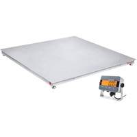 DEFENDER 3000 Floor Scale, 2500 lbs. Capacity, 48" W x 48" L D. Morneault & Fils