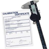 6" (150 mm) Digital Caliper with Traceable Calibration Certificate, 0.0005" (0.01 mm) Resolution, 0" - 6" (0 mm - 150 mm) Range D. Morneault & Fils