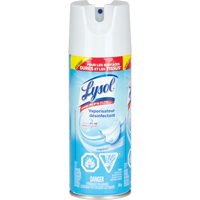 Disinfectant Spray, 350 g, Aerosol Can D. Morneault & Fils