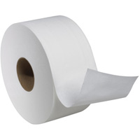 Rouleau de papier hygi&eacute;nique Advanced Soft Mini, Rouleau G&eacute;ant, 2 Pli, Longueur 751', Blanc D. Morneault & Fils