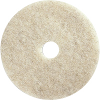 Floor Maintenance Pads, 21", Burnishing, Brown D. Morneault & Fils