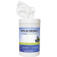 Triple Action Multi Disinfecting Wipes, 7" x 8", 120 Count D. Morneault & Fils