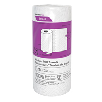 Pro Select Kitchen Towel Roll, 2 Ply, 250 Sheets/Roll, 8" W, 11" L D. Morneault & Fils