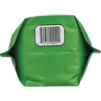 Nettoyant pour les mains biod&eacute;gradable, Poudre, 4,5 lb, Pochette, Sans parfum D. Morneault & Fils