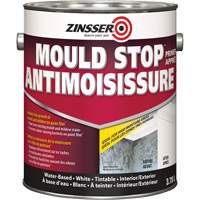 Appr&ecirc;t antimoisissure, 3,78 L, Gallon, Blanc D. Morneault & Fils