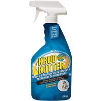 Mold and Mildew Spray, 650 ml, Trigger Bottle D. Morneault & Fils